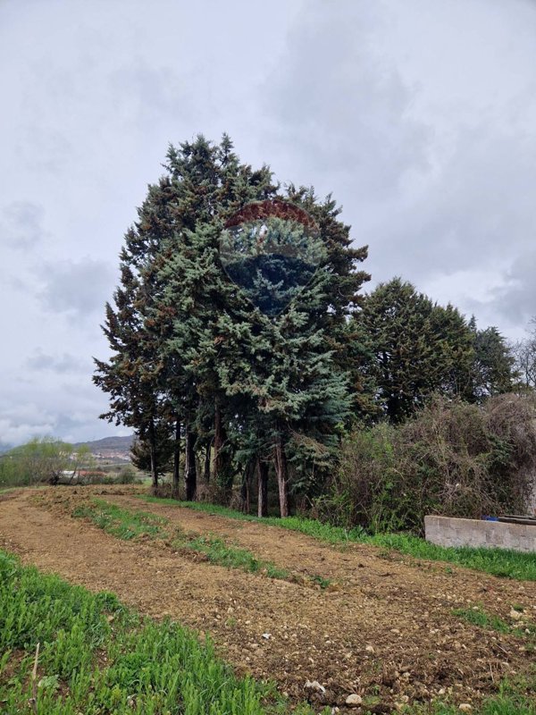 terreno edificabile in vendita a Cerchio