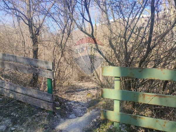 terreno agricolo in vendita a Civitella Alfedena