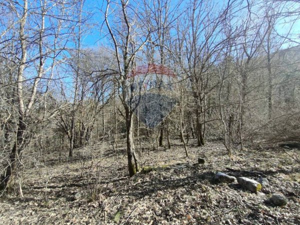 terreno agricolo in vendita a Civitella Alfedena