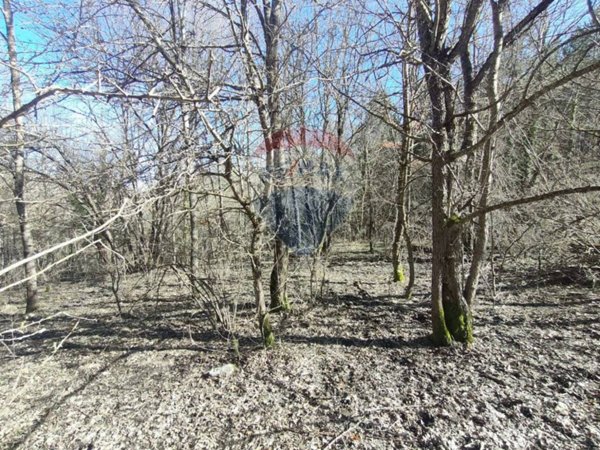 terreno agricolo in vendita a Civitella Alfedena