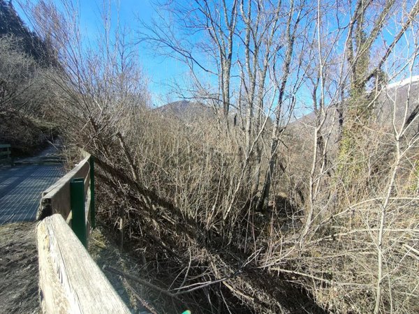terreno agricolo in vendita a Civitella Alfedena