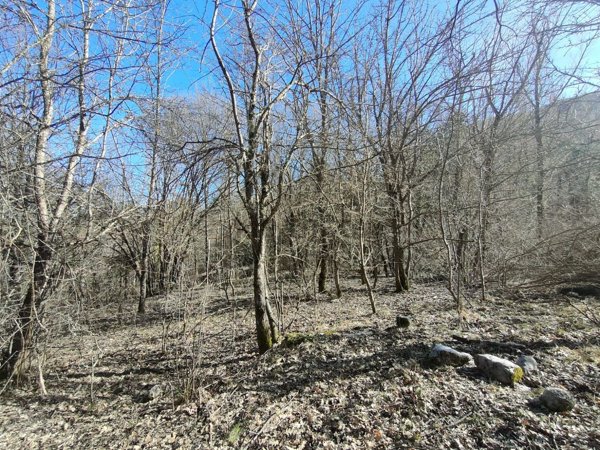 terreno agricolo in vendita a Civitella Alfedena