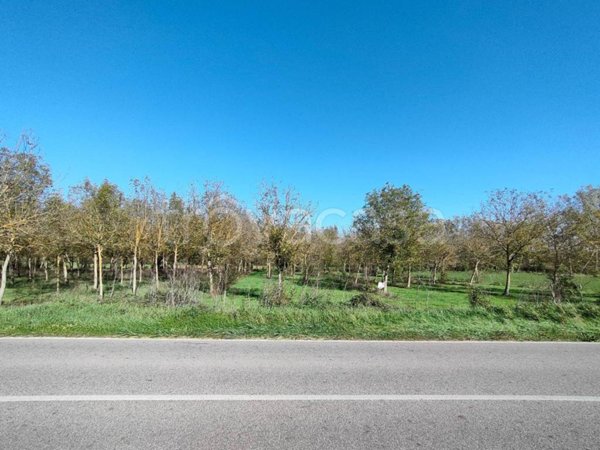 terreno agricolo in vendita a Fossa