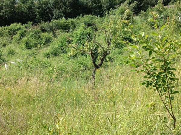terreno edificabile in vendita a L'Aquila in zona Sassa