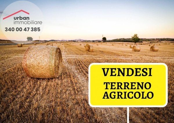 terreno agricolo in vendita a L'Aquila in zona Cansatessa