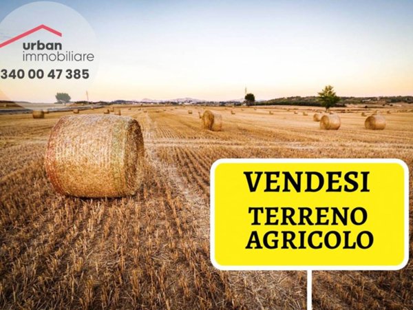 terreno agricolo in vendita a L'Aquila in zona Pettino