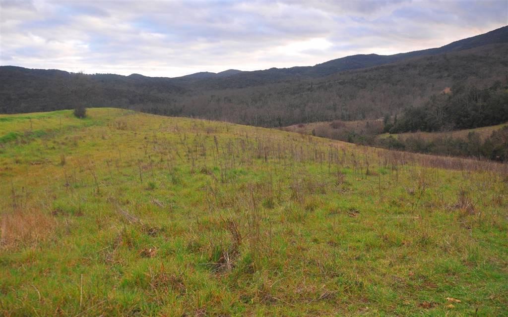 terreno agricolo in vendita a L'Aquila in zona Coppito