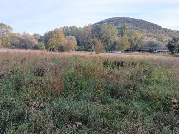 terreno agricolo in vendita a L'Aquila in zona Pettino
