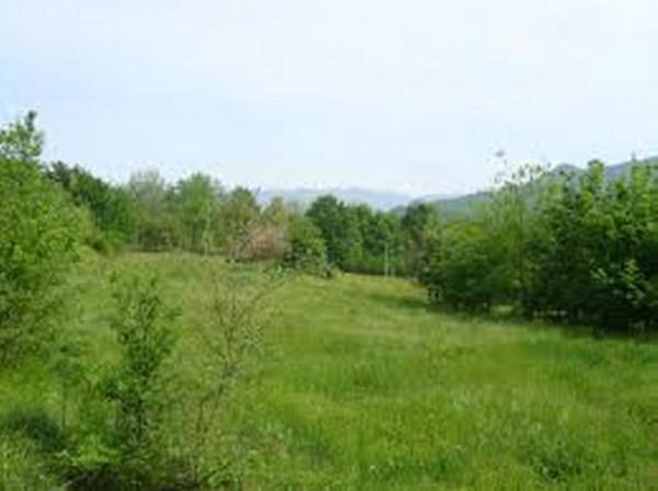 terreno edificabile in vendita a L'Aquila in zona Paganica