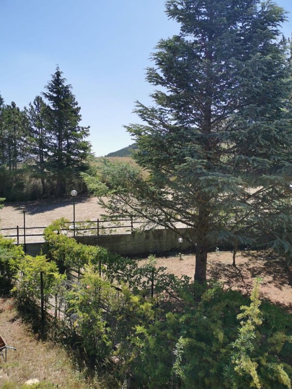 appartamento in vendita a Massa d'Albe