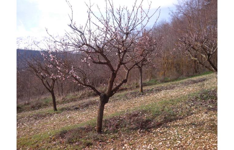 terreno edificabile in vendita ad Ocre in zona Cavalletto
