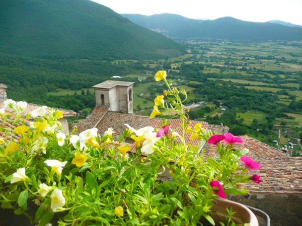 casa indipendente in vendita a Pereto