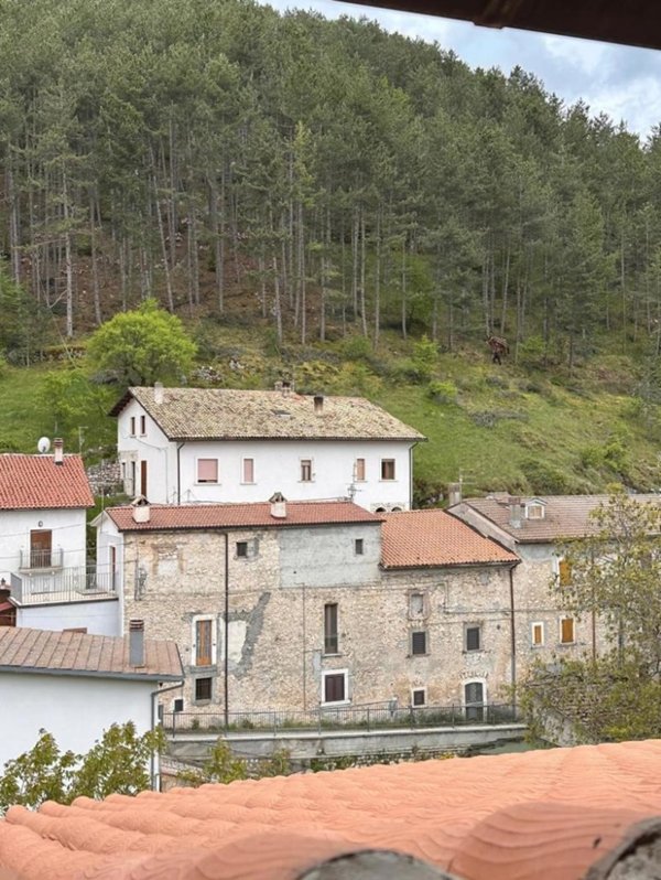 appartamento in vendita a Pescasseroli