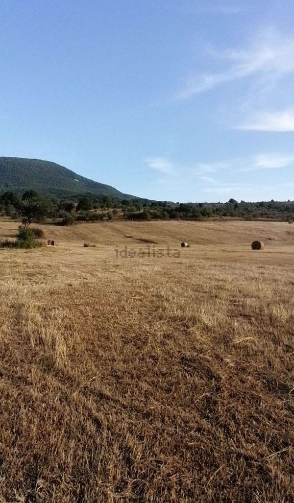 terreno agricolo in vendita a Pescocostanzo