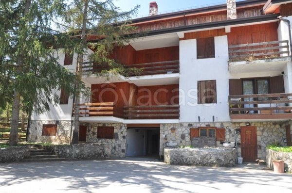 immagine annuncio 0 di 1