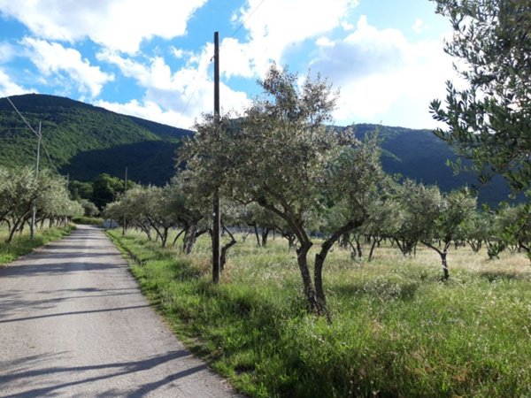 bifamiliare in vendita a Pettorano sul Gizio