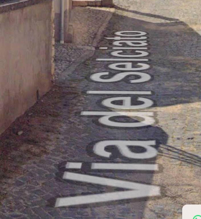 immagine annuncio 0 di 10