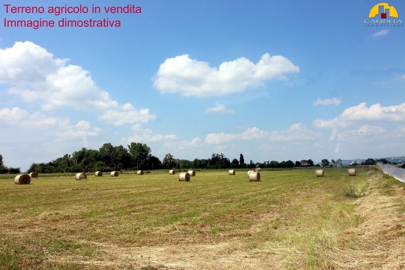 terreno agricolo in vendita a Mondovì