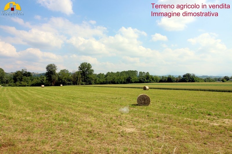 terreno agricolo in vendita a Mondovì