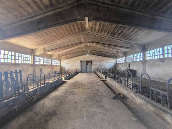 casa indipendente in vendita a Mondovì