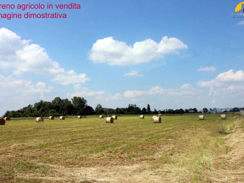 terreno agricolo in vendita a Mondovì