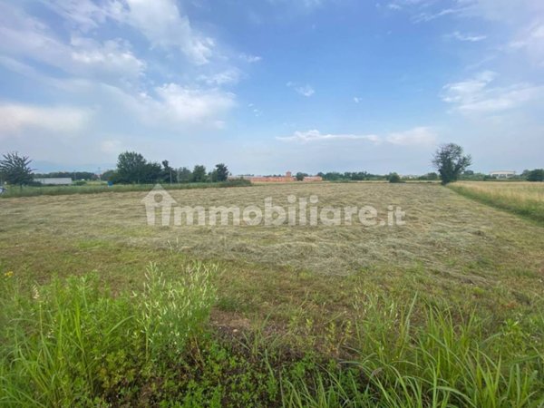 terreno agricolo in vendita a Mondovì