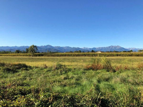 casa indipendente in vendita a Mondovì
