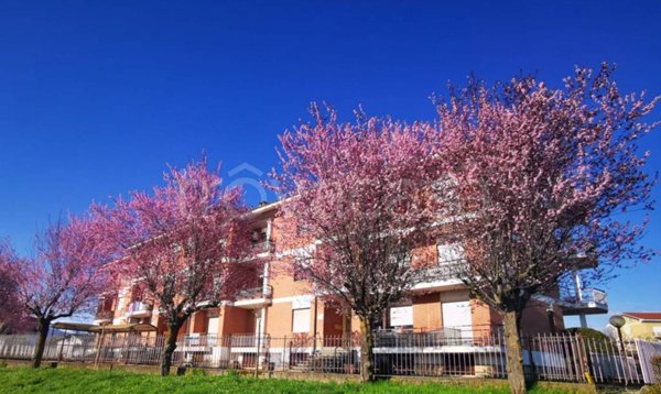 appartamento in vendita a Mondovì