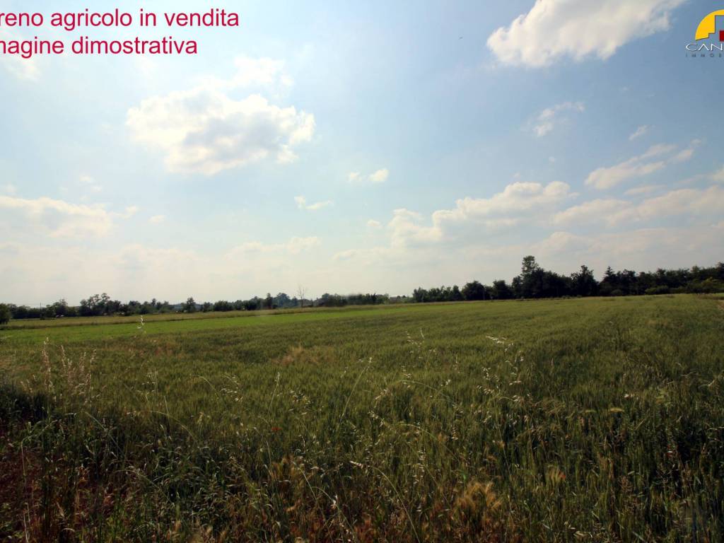 terreno agricolo in vendita a Mondovì