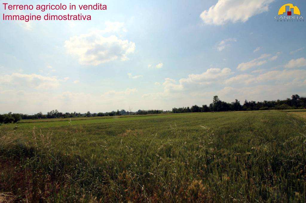 terreno agricolo in vendita a Mondovì