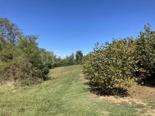 terreno edificabile in vendita a Mondovì in zona Pascomonti