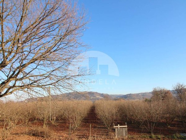 terreno agricolo in vendita a Mondovì in zona Pascomonti