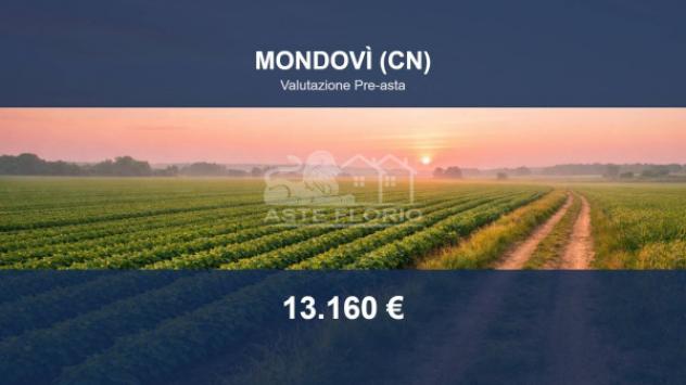 terreno agricolo in vendita a Mondovì