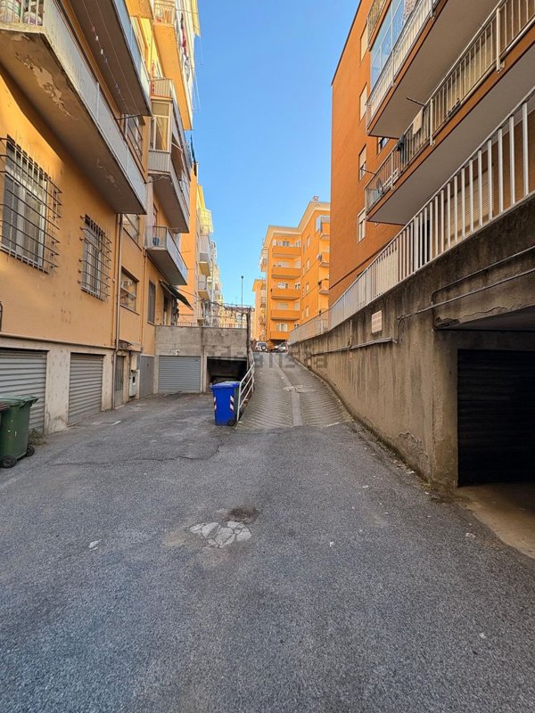 box auto in vendita a Mondovì