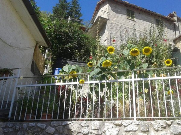 casa indipendente in vendita a Rocca di Botte