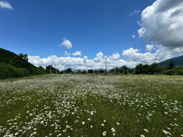 terreno agricolo in vendita a Rocca di Botte