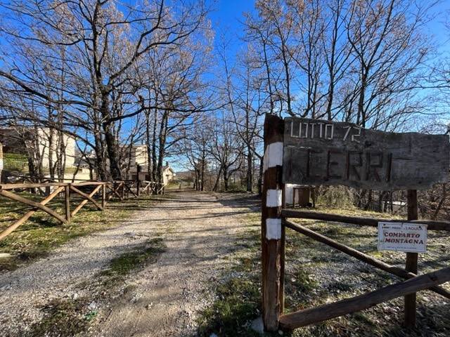 appartamento in vendita a Rocca di Cambio
