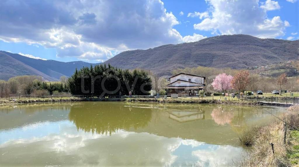 negozio in vendita a Scoppito