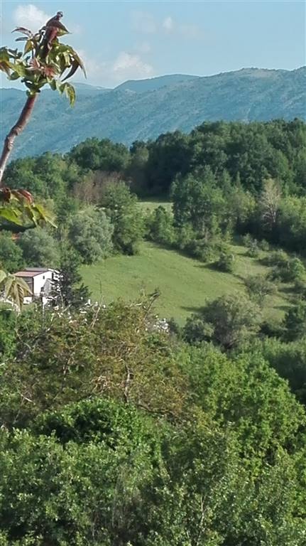 terreno agricolo in vendita a Scurcola Marsicana