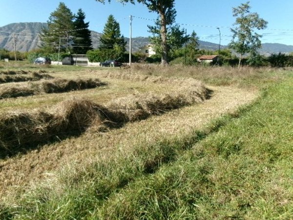 terreno in vendita a Scurcola Marsicana in zona Cappelle dei Marsi