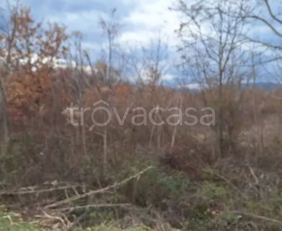 terreno agricolo in vendita a Sulmona