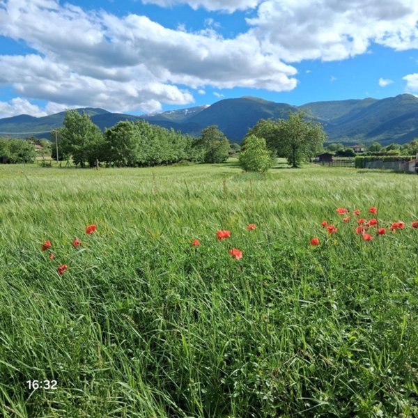 terreno agricolo in vendita a Sulmona in zona Torrone