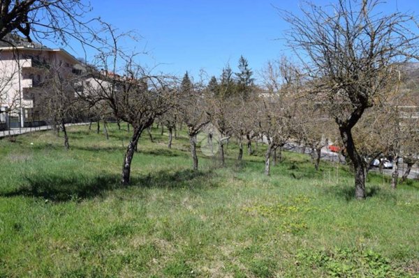 terreno edificabile in vendita a Tagliacozzo