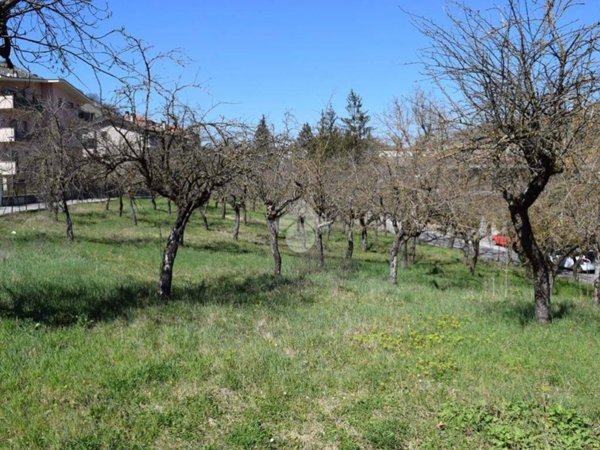 terreno edificabile in vendita a Tagliacozzo