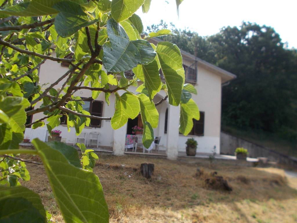 casa indipendente in vendita a Tornimparte in zona Piagge