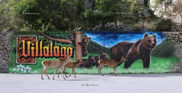 casa indipendente in vendita a Villalago