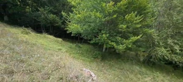 casa indipendente in vendita a Villetta Barrea