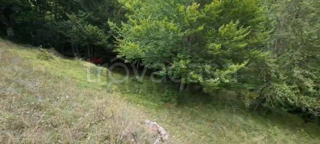 terreno agricolo in vendita a Villetta Barrea