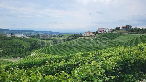 terreno agricolo in vendita a Monforte d'Alba