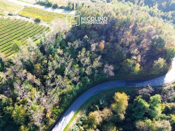 terreno agricolo in vendita a Monforte d'Alba